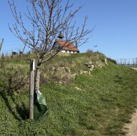 Nahe Michaeliskapelle