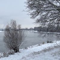 Schnee am Rhein
