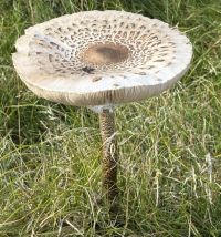 Sylt im Herbst 2026